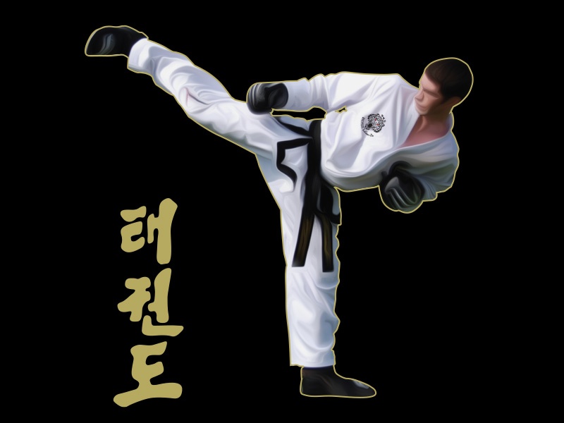 Traditionally Taught Taekwon-do
